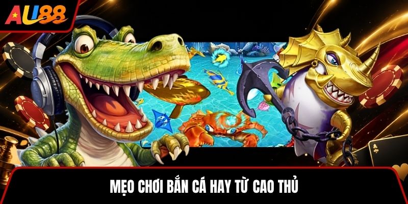 Mẹo chơi bắn cá hay từ cao thủ