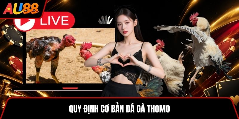 Quy định cơ bản đá gà Thomo
